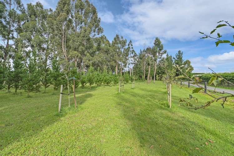 31 Tramway Road_5