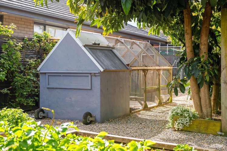 33 Haswell Place Huntington_37