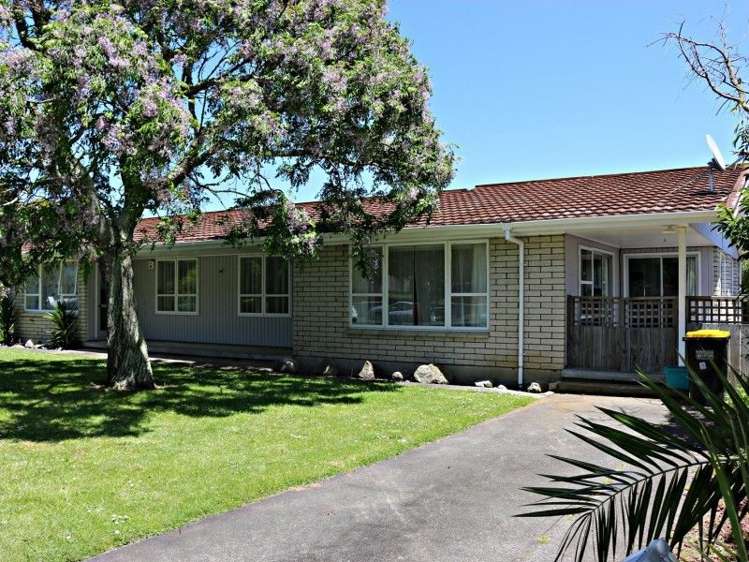 31 Alexandra Avenue Morrinsville_3