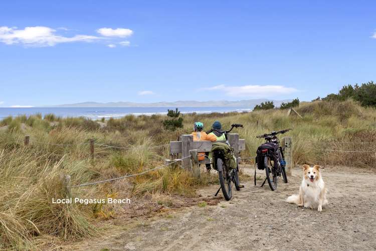 85 Tiritiri Moana Drive Pegasus_18