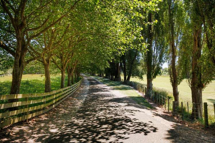 191 Staces Road Aokautere_44