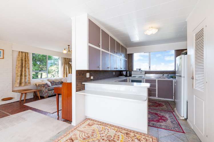 87 Kahikatea Flat Road Dairy Flat_8
