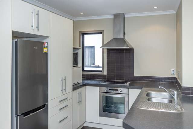 56f Willoughby Street Whitiora_2