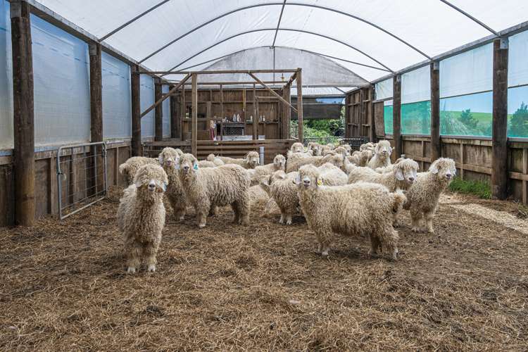 114 Hay Road Hukerenui and Surrounds_20