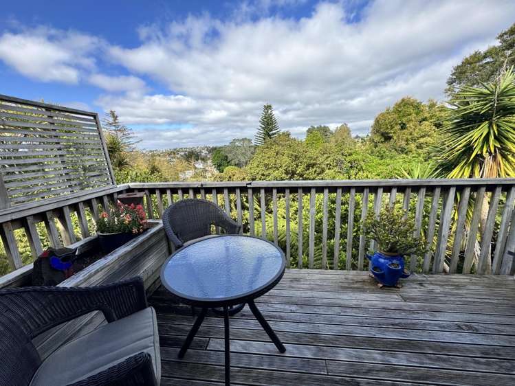 88B Carlisle Road Browns Bay_3