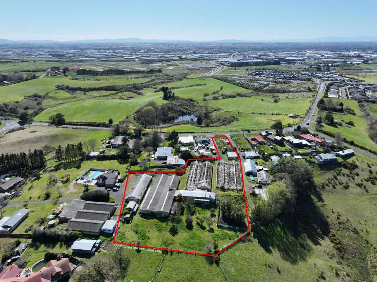 317 Rotokauri Road_5