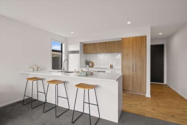52A Picton Avenue Riccarton_2