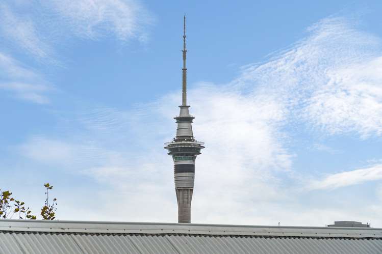 25 Picton Street Freemans Bay_22