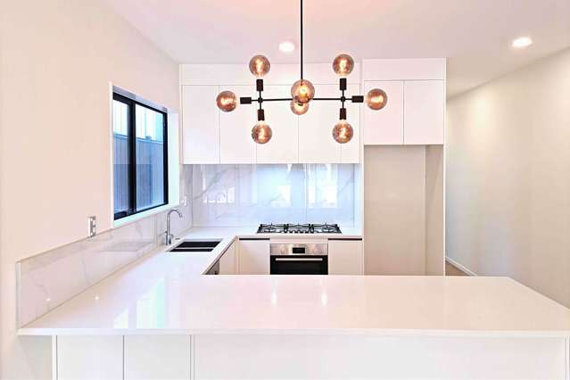 5A Frontier Lane Flat Bush_3