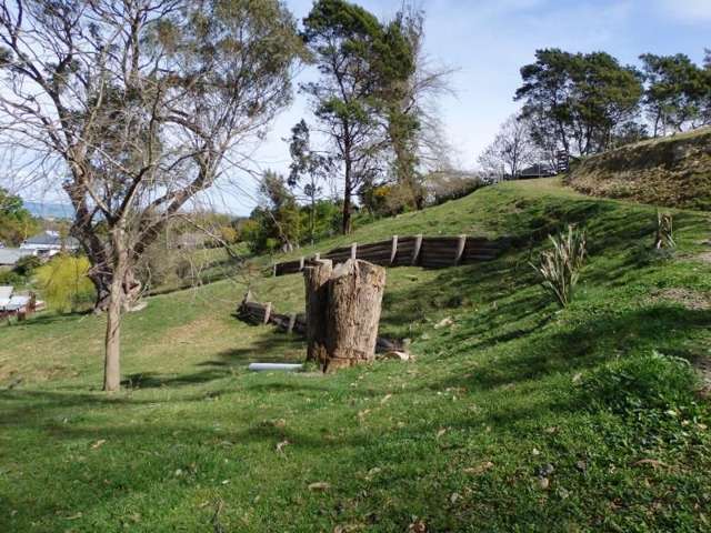 31 Richardson Avenue Whataupoko_4