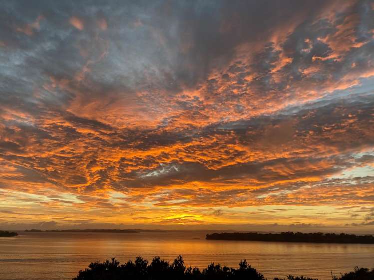 1 Peacock Street Glendowie_24