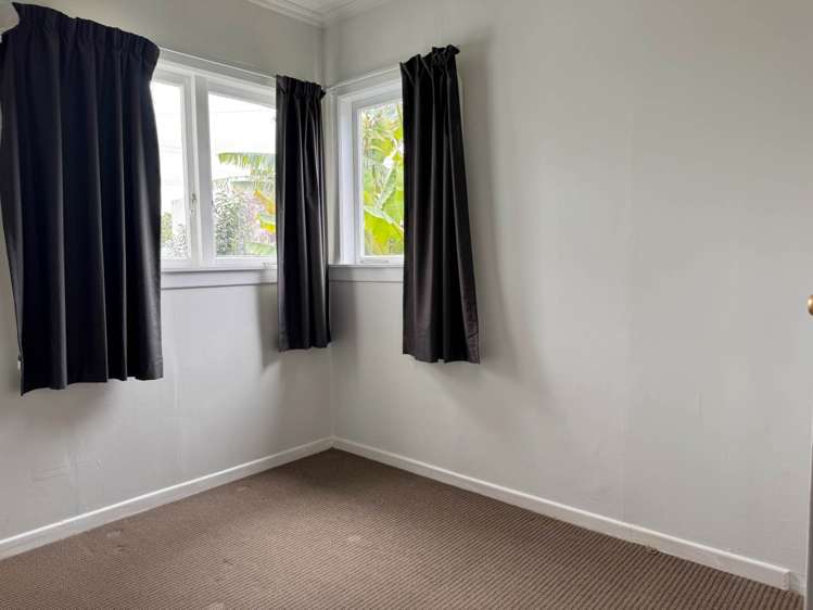 58 Greenpark Road Penrose_8