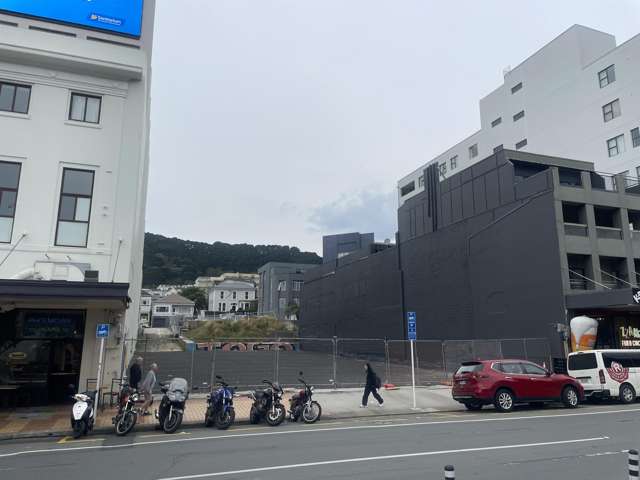 12 Kent Terrace Mt Victoria_4