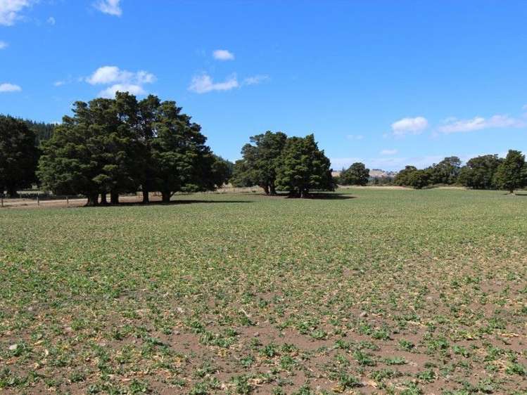 170 Pendle Hill Road Tikokino_16