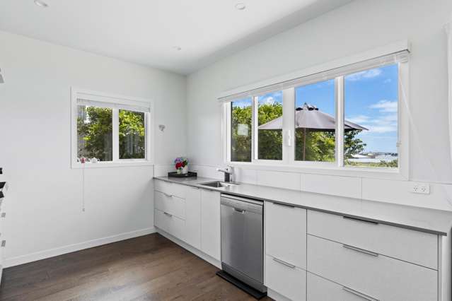125 Pendarves Street New Plymouth Central_4