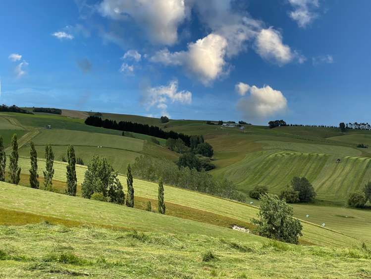 446 Skinner Road Clinton and Surrounds_16