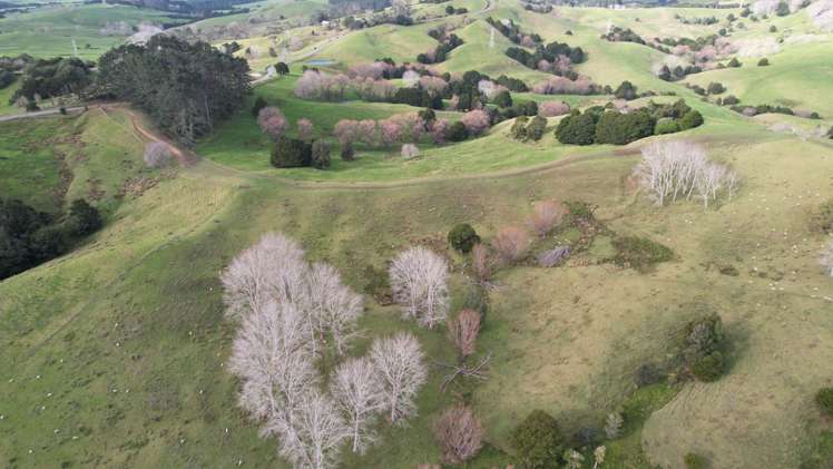 78 Otioro Road Topuni_10