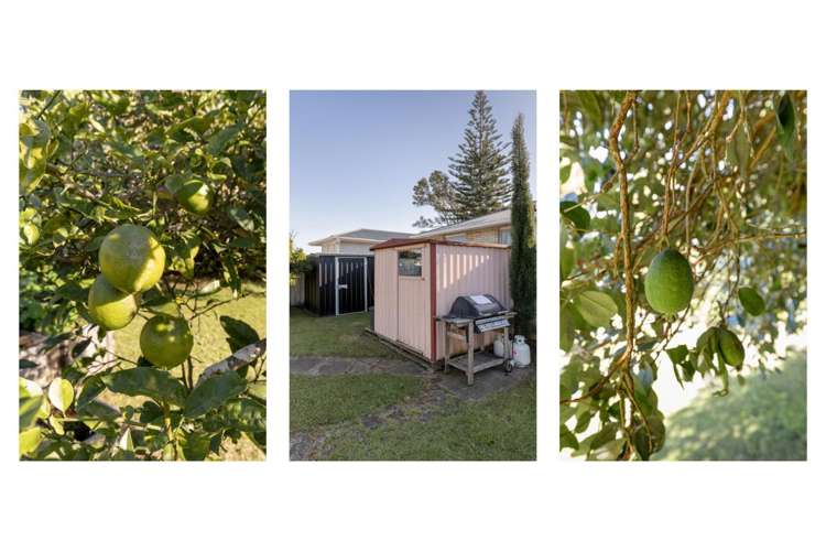 36a Crane Street Mount Maunganui_14