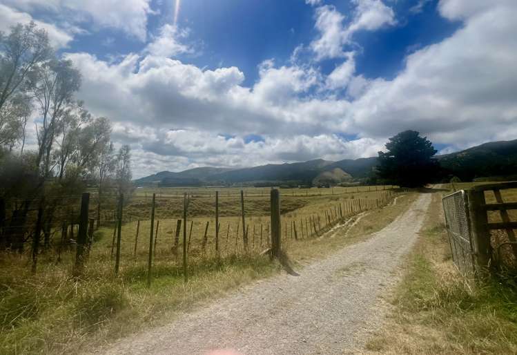 429 Scotts Road Linton_14