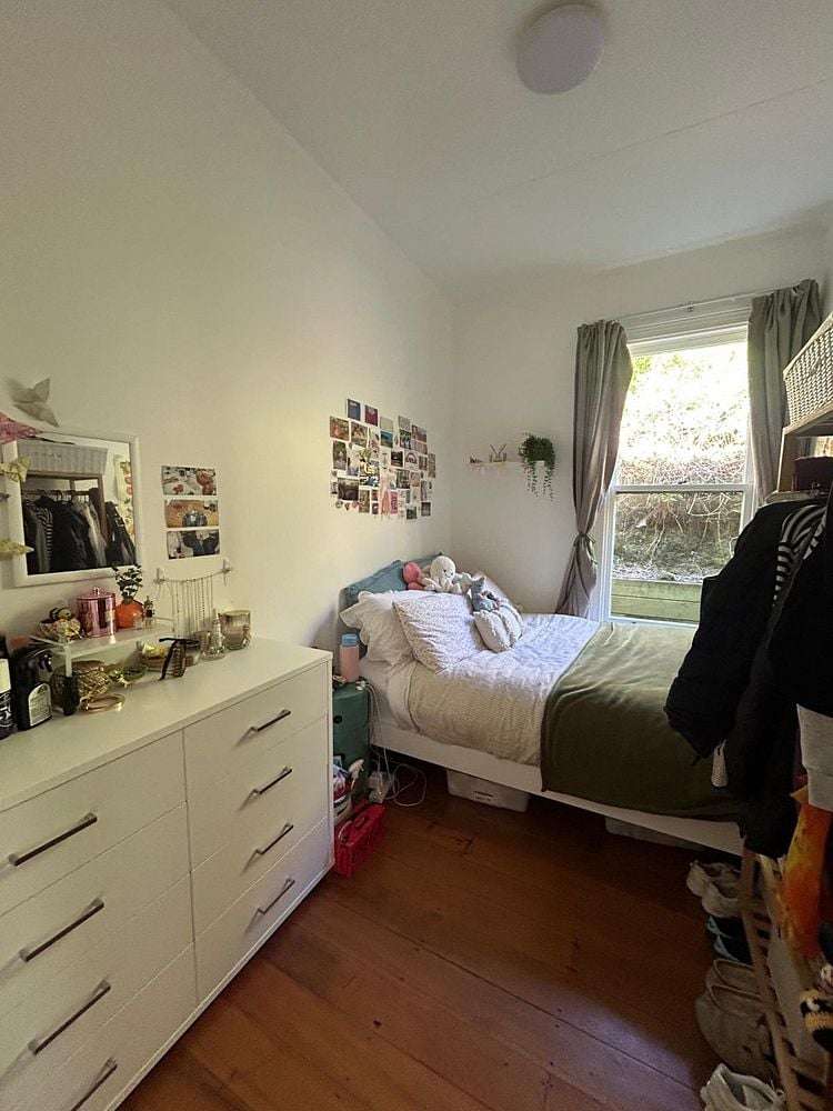 46 Norway Street Aro Valley_8