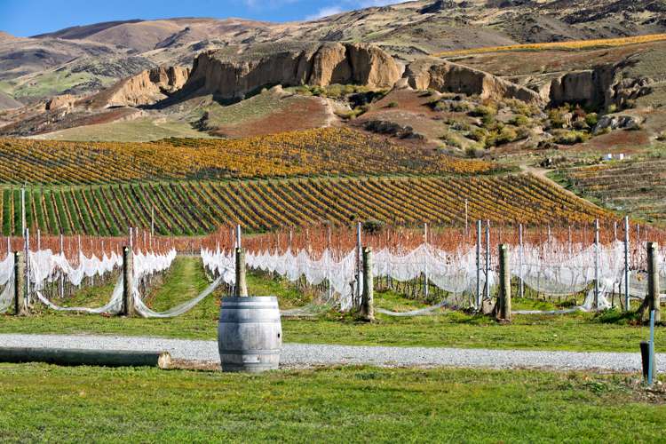 182b Felton Road Bannockburn_24