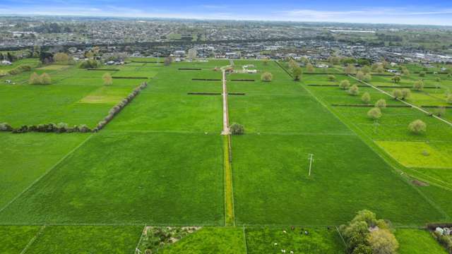 86 St Kilda Road Cambridge_2