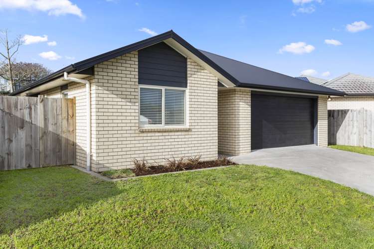 36 Tupelo Street Pukete_15
