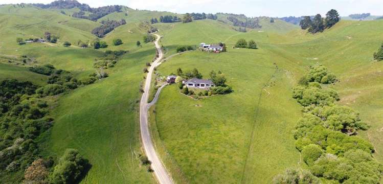 114 Otoru Road Otorohanga_29