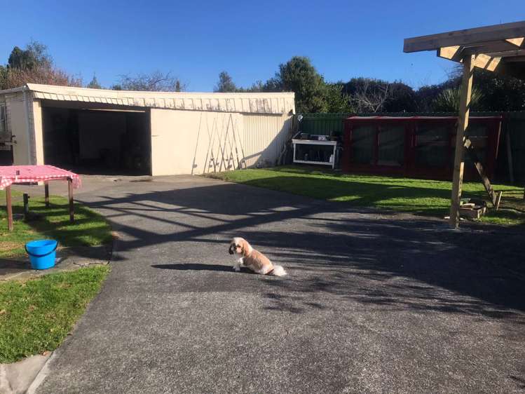 390 Wellington Road Marton_17