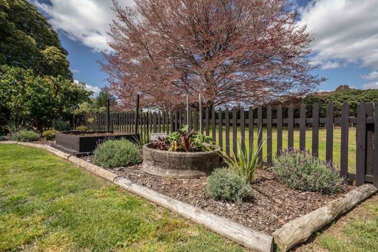 41a Cranmere Drive Tamahere_8