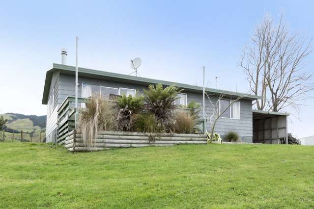 116 Hill Road Te Aroha_1