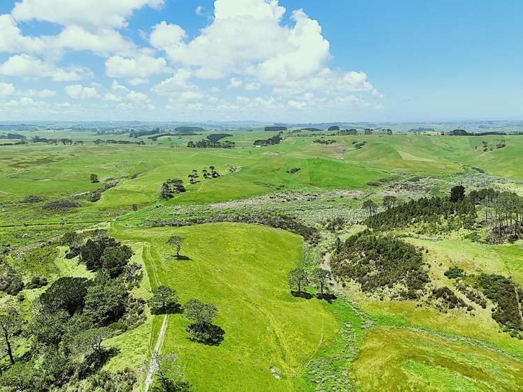 Lot Lot 2 Scottys Camp Road Dargaville_13