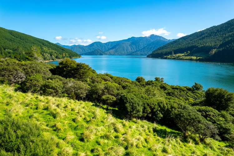 Four Fathom Bay Kenepuru Sound_5