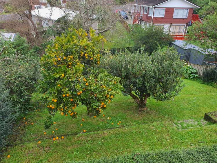 38 Glengarry Road Glen Eden_11