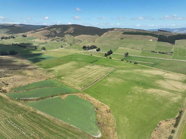 200 Caroline Valley Road Dipton_4