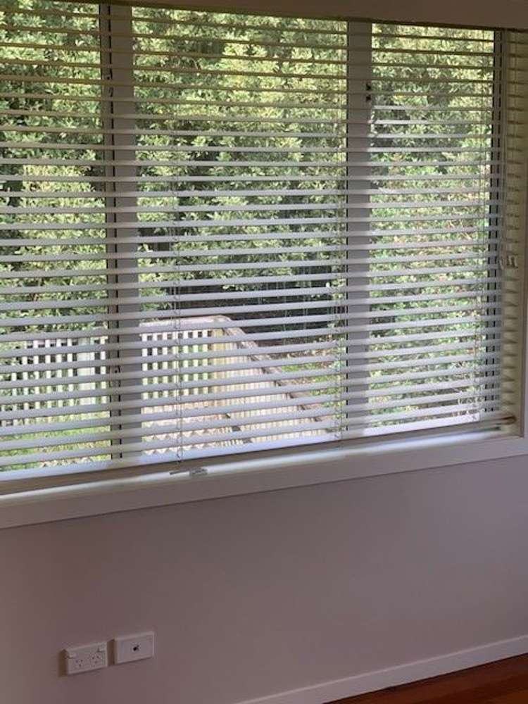 386 Lake Road Takapuna_14