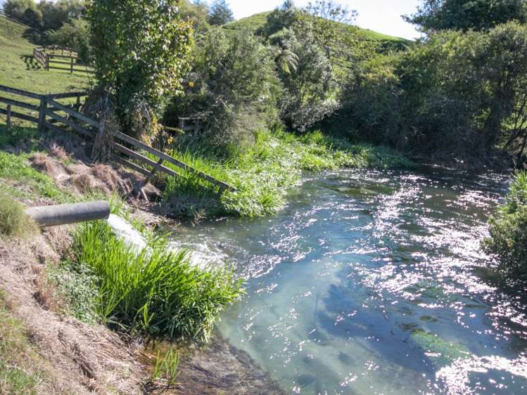 95 Webster Road Tirau_17