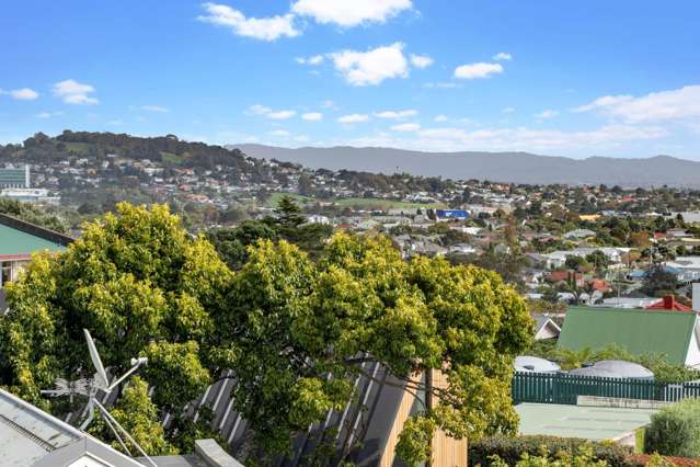 7 Manatu Street Mount Eden_4