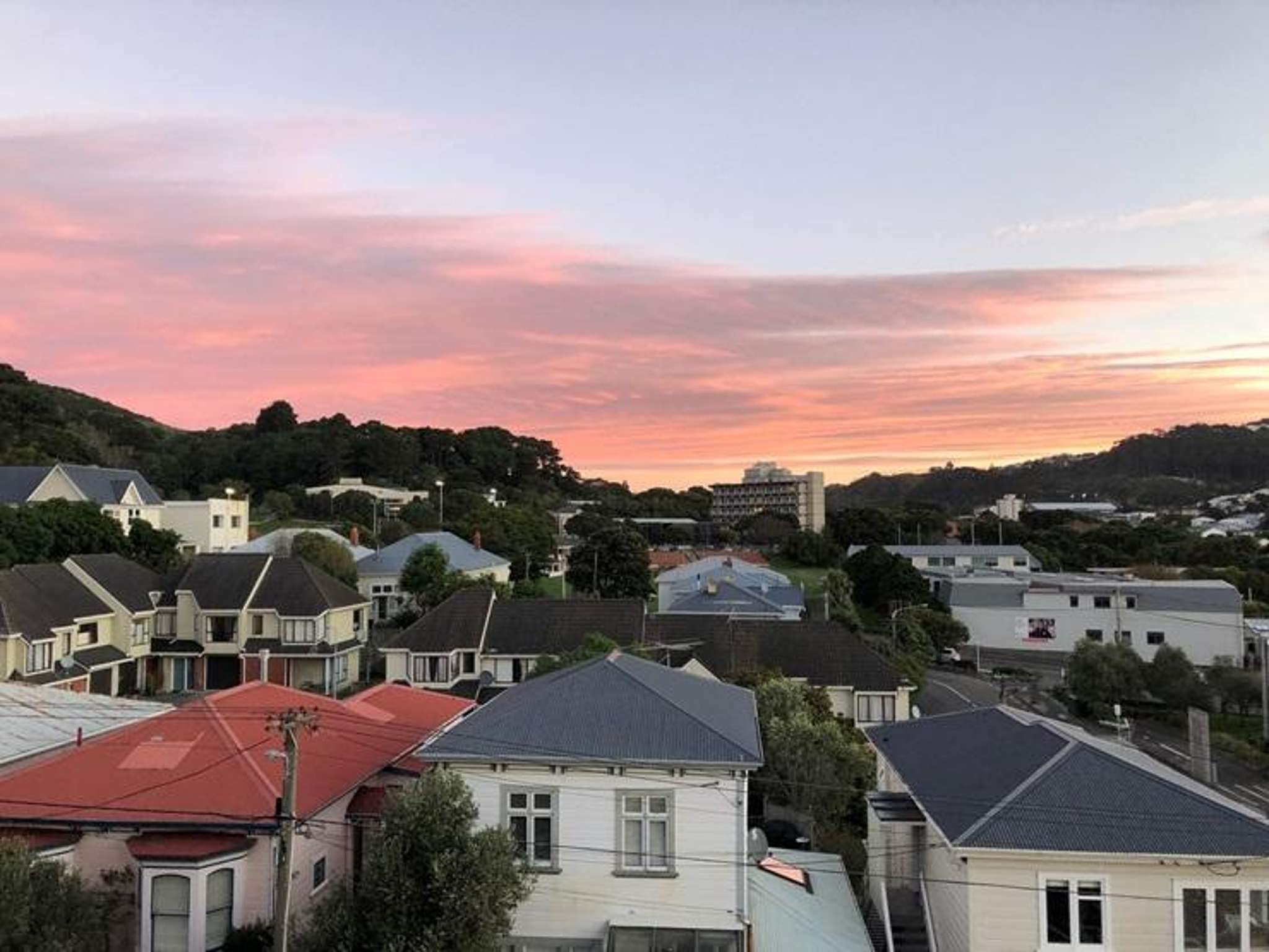 Wellington’s new RVs: Which suburbs are most at risk