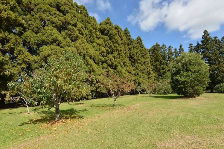 1221 Kokopu Road Poroti_9