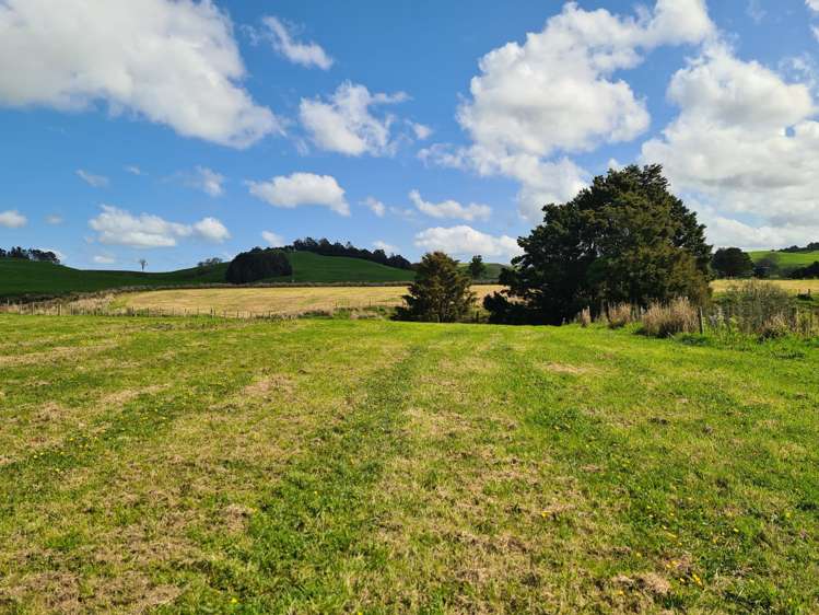 Dodd Road Maungaturoto_31