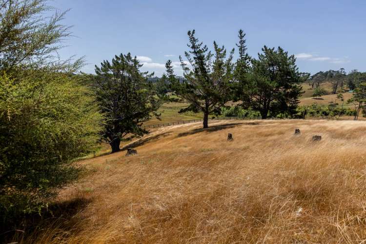 9 Aurea Terrace Kumeu_11