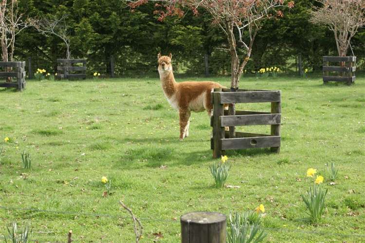 282 Sinclair Road Te Anau_21