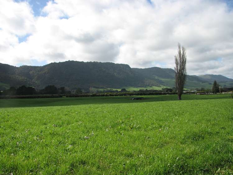 1387 Old Te Aroha Road Okauia_9