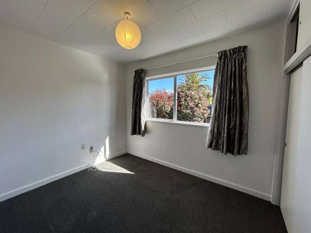 223 Palmerston Street Westport_4
