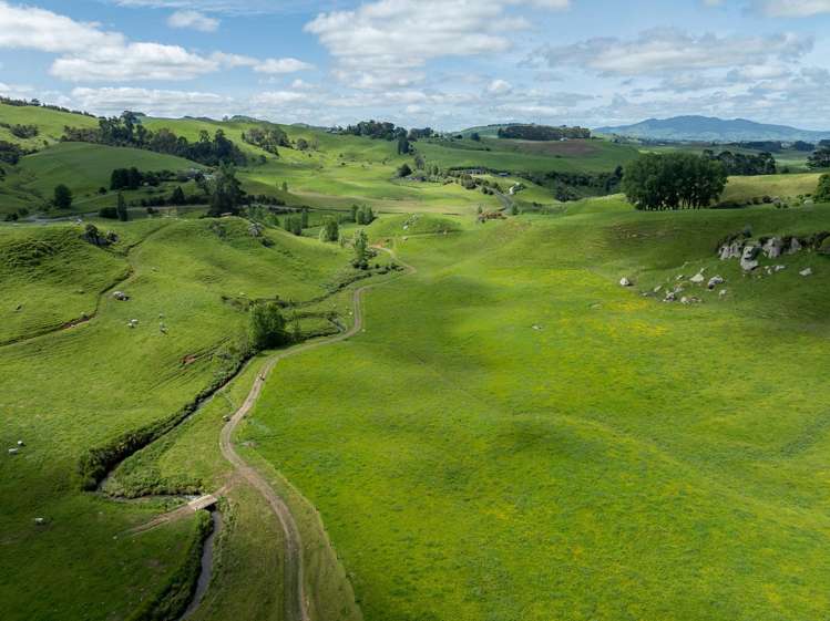 1/400 Brunskill Road Cambridge_21