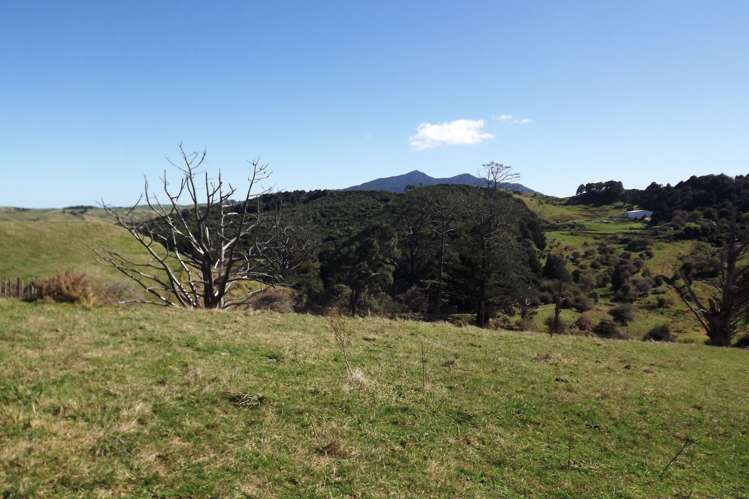 238 Waimaori Road Raglan_7