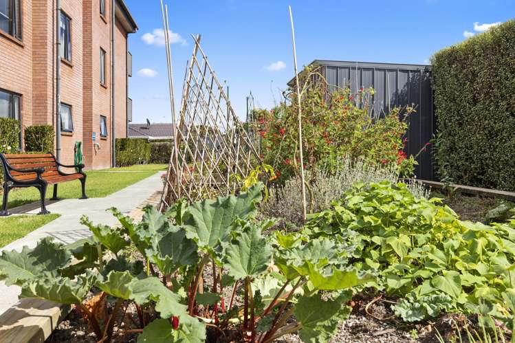 103/104 Edinburgh Street Pukekohe_13