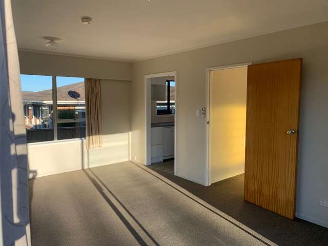 1/46 Tawhiri Road One Tree Hill_3