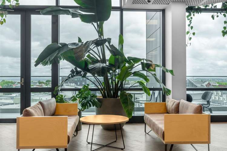 4 Williamson Avenue Ponsonby_9